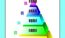 理论理论片在线观看,在线观看理论理论片全方位解读